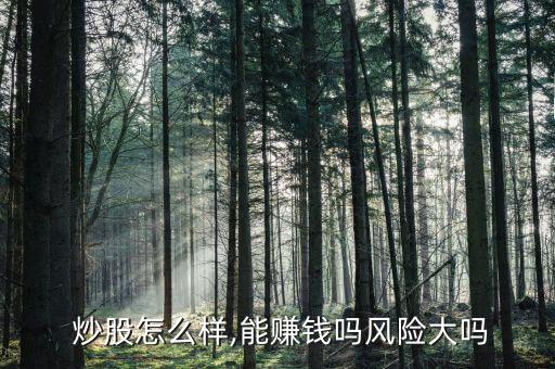  炒股怎么樣,能賺錢嗎風(fēng)險(xiǎn)大嗎
