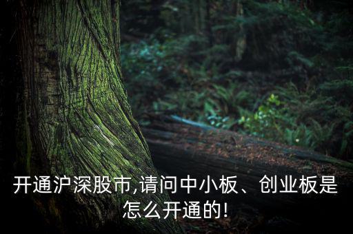 開通滬深股市,請問中小板、創(chuàng)業(yè)板是怎么開通的!