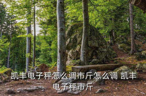 凱豐怎么重置,凱豐電子秤怎么稱(chēng)重?