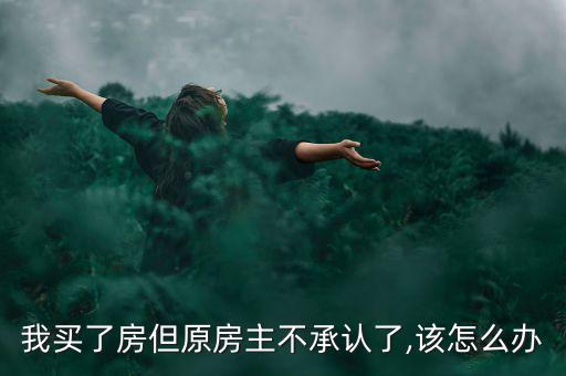 我買了房但原房主不承認了,該怎么辦