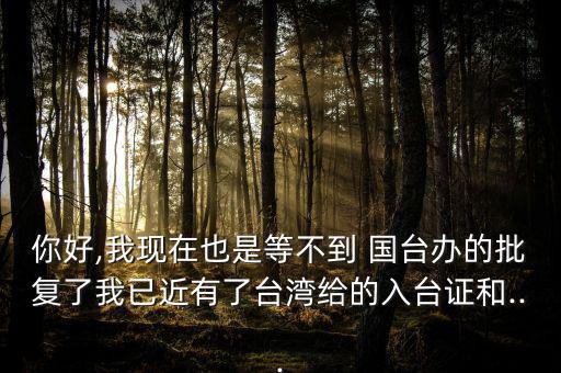 你好,我現(xiàn)在也是等不到 國臺辦的批復了我已近有了臺灣給的入臺證和...
