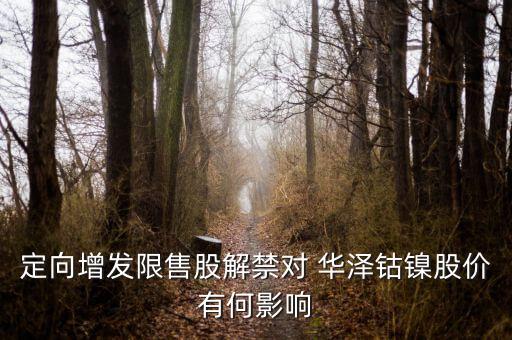華澤鈷鎳怎么樣,鎳礦概念股:吉恩鎳業(yè)、華澤鈷鎳、恒順電氣