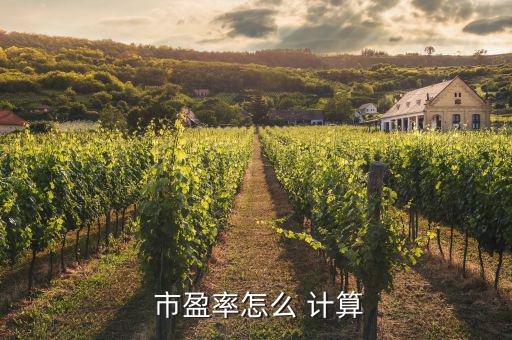 市盈率是怎么計算的,市盈率是投資者必須掌握的重要財務指標，