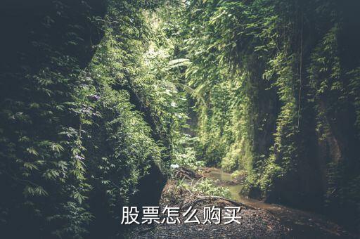  股票怎么購(gòu)買