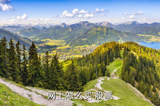 股票怎么登入,如何開(kāi)深圳股票賬戶(hù)?