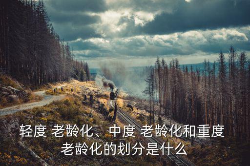 輕度 老齡化、中度 老齡化和重度 老齡化的劃分是什么