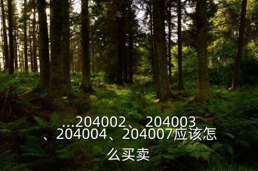 ...204002、 204003、204004、204007應(yīng)該怎么買賣