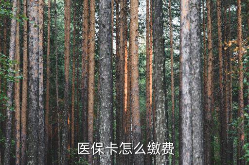  醫(yī)?？ㄔ趺蠢U費(fèi)