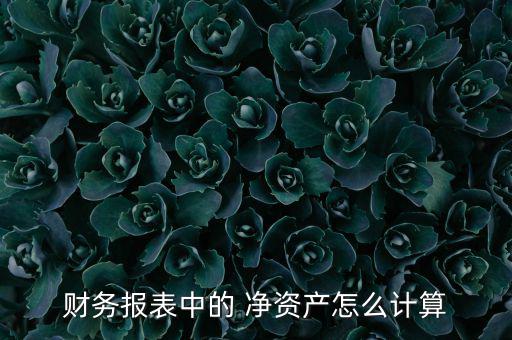 財務報表中的 凈資產(chǎn)怎么計算