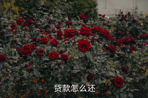 貸款怎么還合適,中國(guó)銀行推出等額本息、月均本金等還款方式