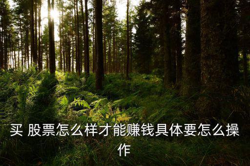 買 股票怎么樣才能賺錢(qián)具體要怎么操作