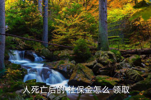人死后社保怎么領取,如何使用社?？?!