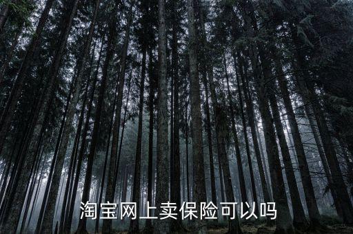  淘寶網(wǎng)上賣(mài)保險(xiǎn)可以嗎
