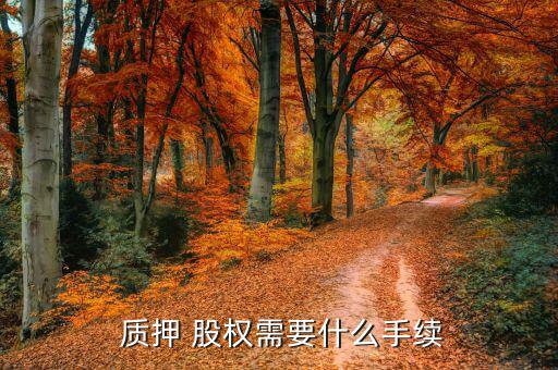 質(zhì)押股權(quán)怎么變現(xiàn),基金份額股權(quán)質(zhì)押后不得轉(zhuǎn)讓，除外
