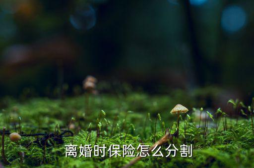 離婚時保險怎么分,保險公司將返還被保險人退?？?/></a></span><span id=
