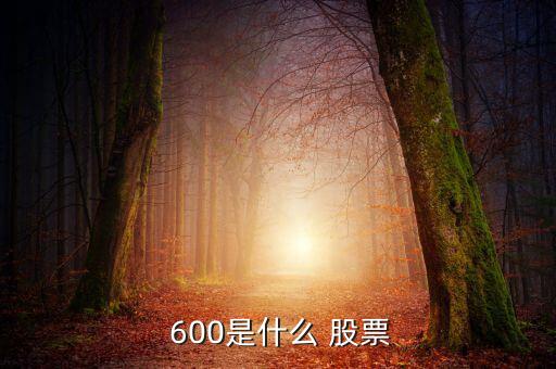 600怎么股票,周一開盤值得關注的股票