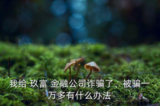 我給 玖富 金融公司詐騙了、被騙一萬多有什么辦法
