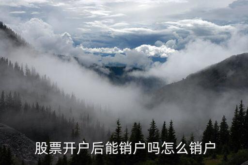 股票賬戶網(wǎng)上開(kāi)的怎么取消,股票賬戶離線銷戶有何不同?