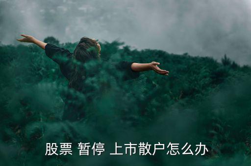  股票 暫停 上市散戶(hù)怎么辦
