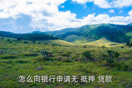 免抵押貸款是怎么貸,抵押貸款、擔保貸款一般略高于-0貸款
