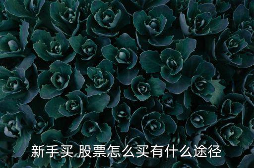 股票里的理財(cái)怎么買(mǎi),股市投資策略