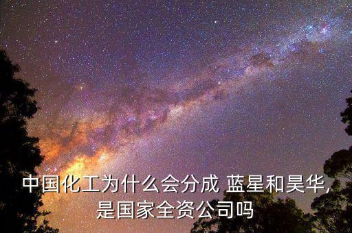 藍(lán)星安迪蘇怎么樣,藍(lán)星公司從默克爾到?？?、挪威三家公司