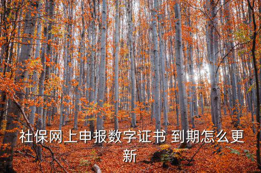 龍灣社保登記證到期怎么更換,社?？ㄟ^(guò)期怎么辦?可以這樣做!
