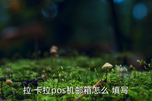 拉 卡拉pos機(jī)郵箱怎么 填寫(xiě)