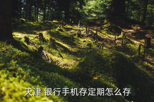 天津銀行網上銀行怎么下載,如何查詢手機定期存款?