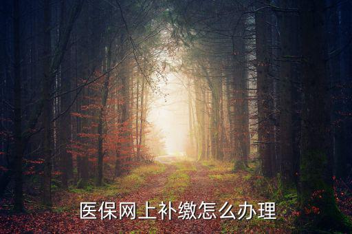 怎么補交醫(yī)保,因個人原因斷了社?？缮暾埞緸樽约豪U納費用