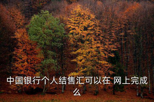 中國銀行個(gè)人結(jié)售匯可以在 網(wǎng)上完成么