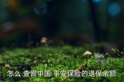 怎么 查詢中國 平安保險(xiǎn)的退保余額