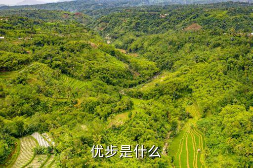 優(yōu)步滬郊短駁是什么，我的車符合UBER高級轎車為什么是人民優(yōu)步的價格