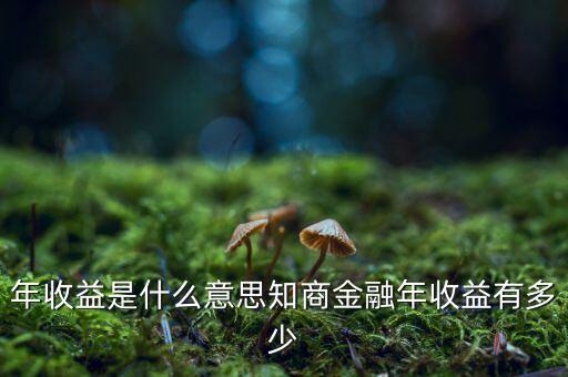 資金占用年收益是什么意思，利息支出中有個資金占用費這個是什么意思