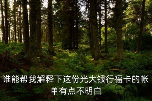 光大的賬單明細(xì)都什么意思，誰(shuí)能幫我解釋下這份光大銀行福卡的帳單有點(diǎn)不明白