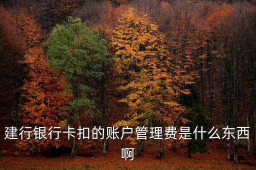 建設(shè)銀行的賬戶管理費是什么，建行銀行卡扣的賬戶管理費是什么東西啊