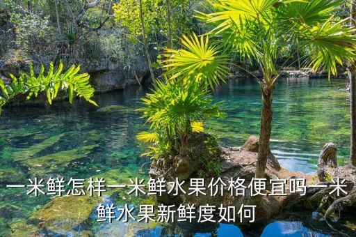 一米鮮為什么做垮了，一米鮮主要是做什么銷(xiāo)售誰(shuí)能告訴我