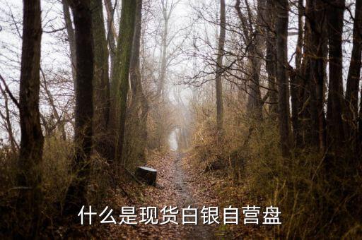 現(xiàn)貨盤是什么，國際盤現(xiàn)貨是什么意思