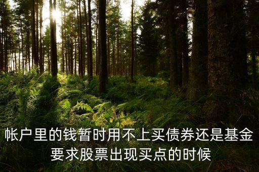 帳戶里的錢(qián)暫時(shí)用不上買(mǎi)債券還是基金 要求股票出現(xiàn)買(mǎi)點(diǎn)的時(shí)候