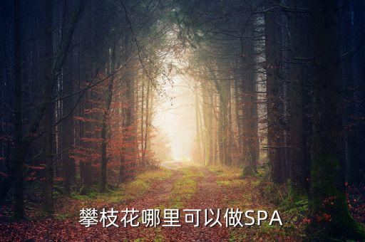 雅化集團(tuán)攀枝花恒泰做什么的，攀枝花哪里可以做SPA