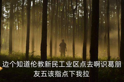 李葛衛(wèi)為什么入新民科技，邊個(gè)知道倫教新民工業(yè)區(qū)點(diǎn)去啊識(shí)葛朋友五該指點(diǎn)下我拉