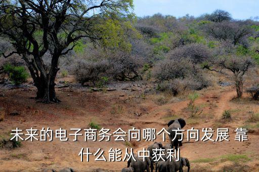 未來電商什么會(huì)掙錢，未來的電子商務(wù)會(huì)向哪個(gè)方向發(fā)展 靠什么能從中獲利