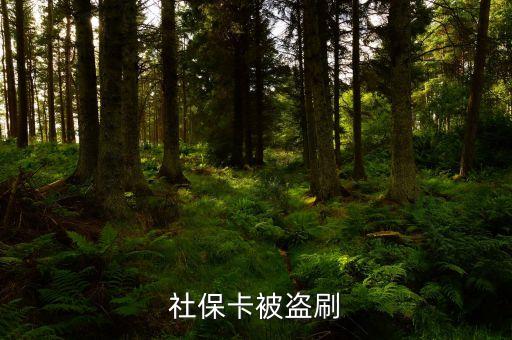 盜刷社保卡是什么罪，小偷持盜竊所得的社保卡到藥店刷卡消費(fèi)藥店是否構(gòu)成銷贓罪  搜