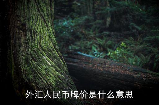 外幣兌換人民幣是什么，外幣兌換人民幣