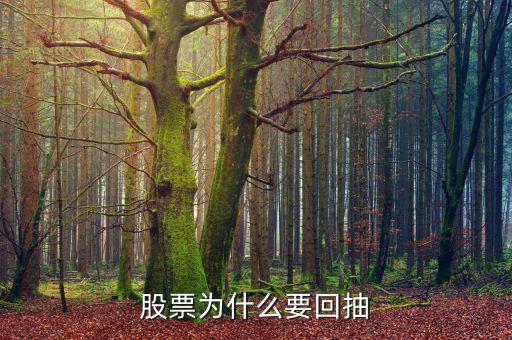 為什么回抽確認(rèn)，股價突破重要阻力位后為什么一般都要回抽確認(rèn)