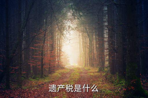 什么是遺產稅，什么是遺產稅