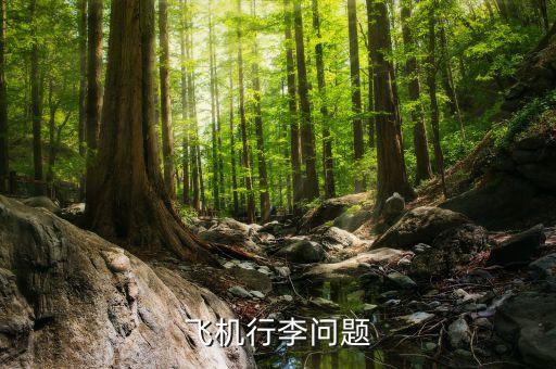 航空公司可以拒載什么傷人，憑什么飛機(jī)可以拒載