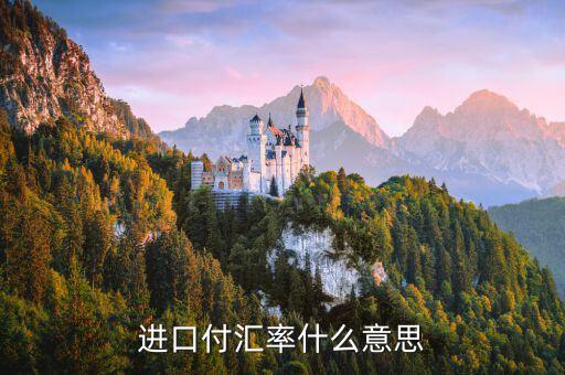 進口付匯是什么意思，進口付匯是什么