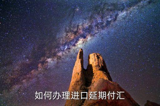什么是進口付匯，什么是跨境貿易人民幣結算啊