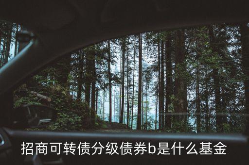 轉(zhuǎn)債b級是什么，招商可轉(zhuǎn)債分級債券b 場內(nèi)買入 場外賣出什么意思